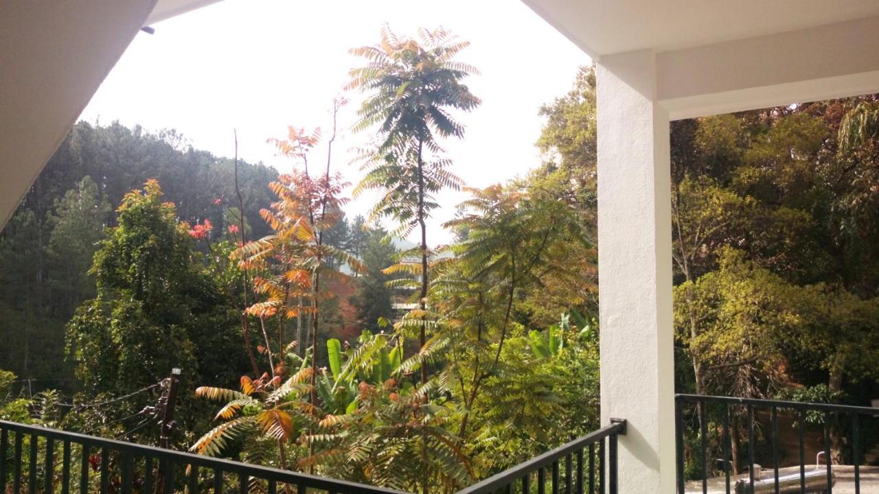 Misty Elegance - Ella. Hotel Buitenkant foto